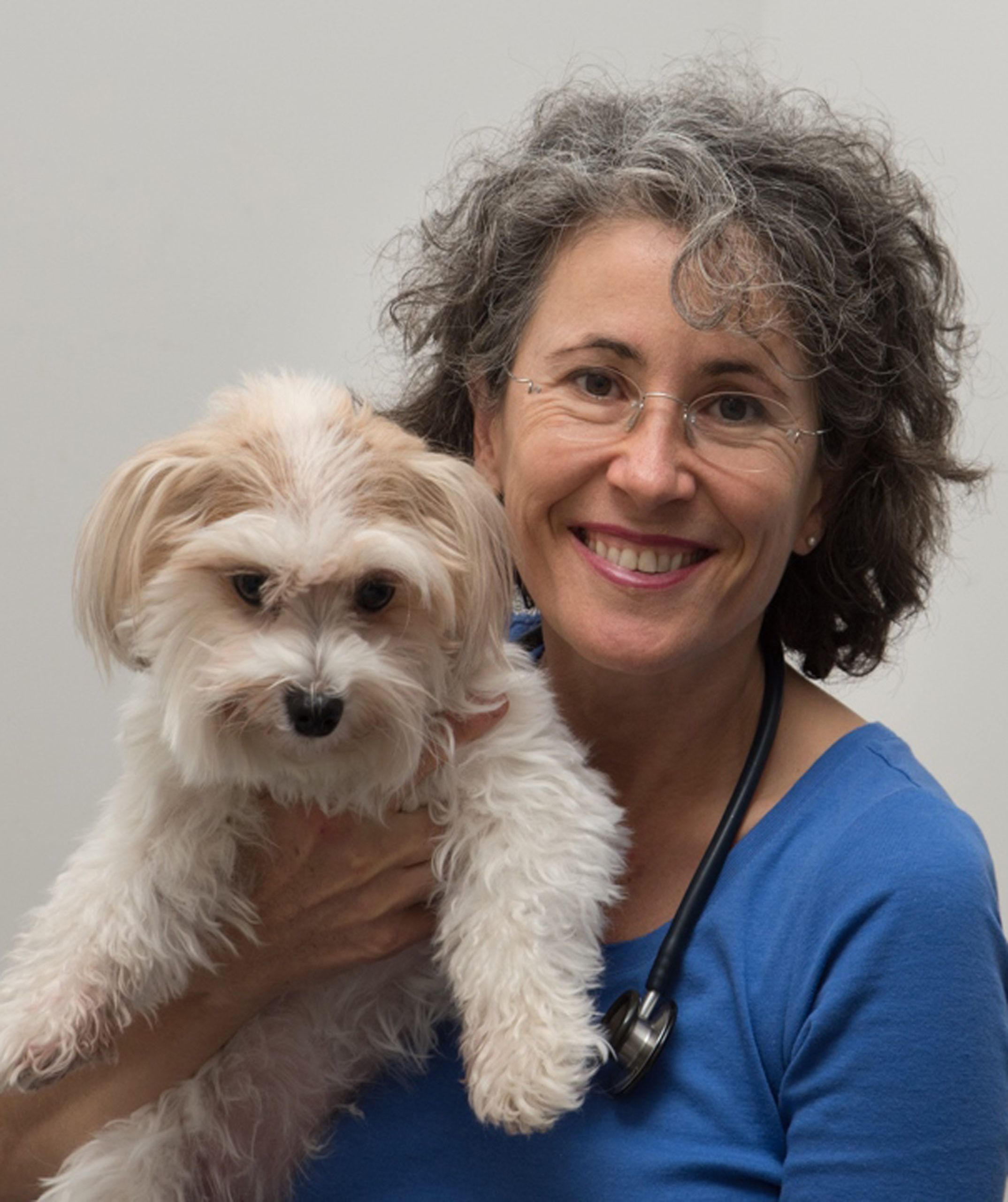 Odette Suter, DVM, CVA, CVSMT, MA