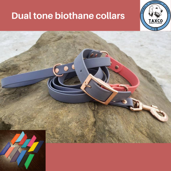 Taxco Collars & Leashes Dual colour biothane collars Animal