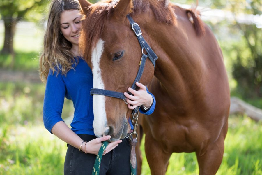 How the NASC is protecting equine health, one supplement company at a time