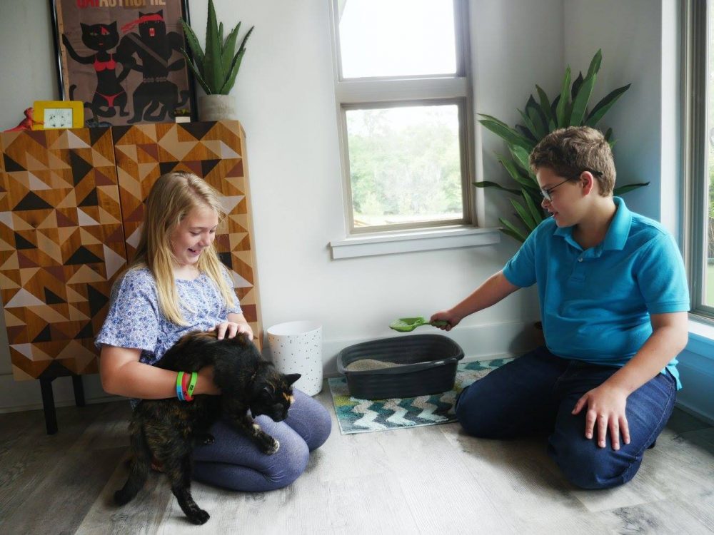 teaching kids to care for a cat