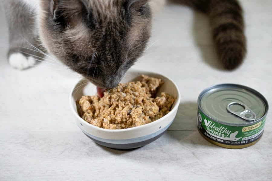 The benefits of seafood for cats: why quality matters