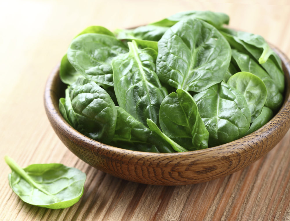 Spinach for dogs