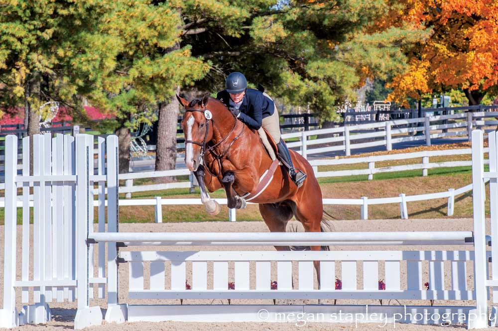 The Retired Racehorse Project