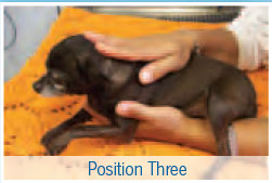 Cranial sacral therapy