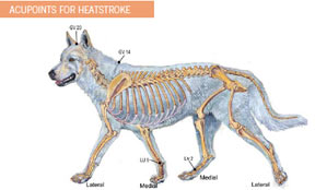 heat stroke acupressure