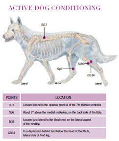 acupressure points