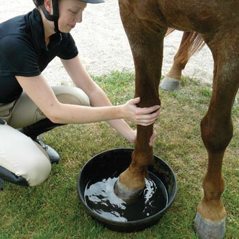 hoof soaking