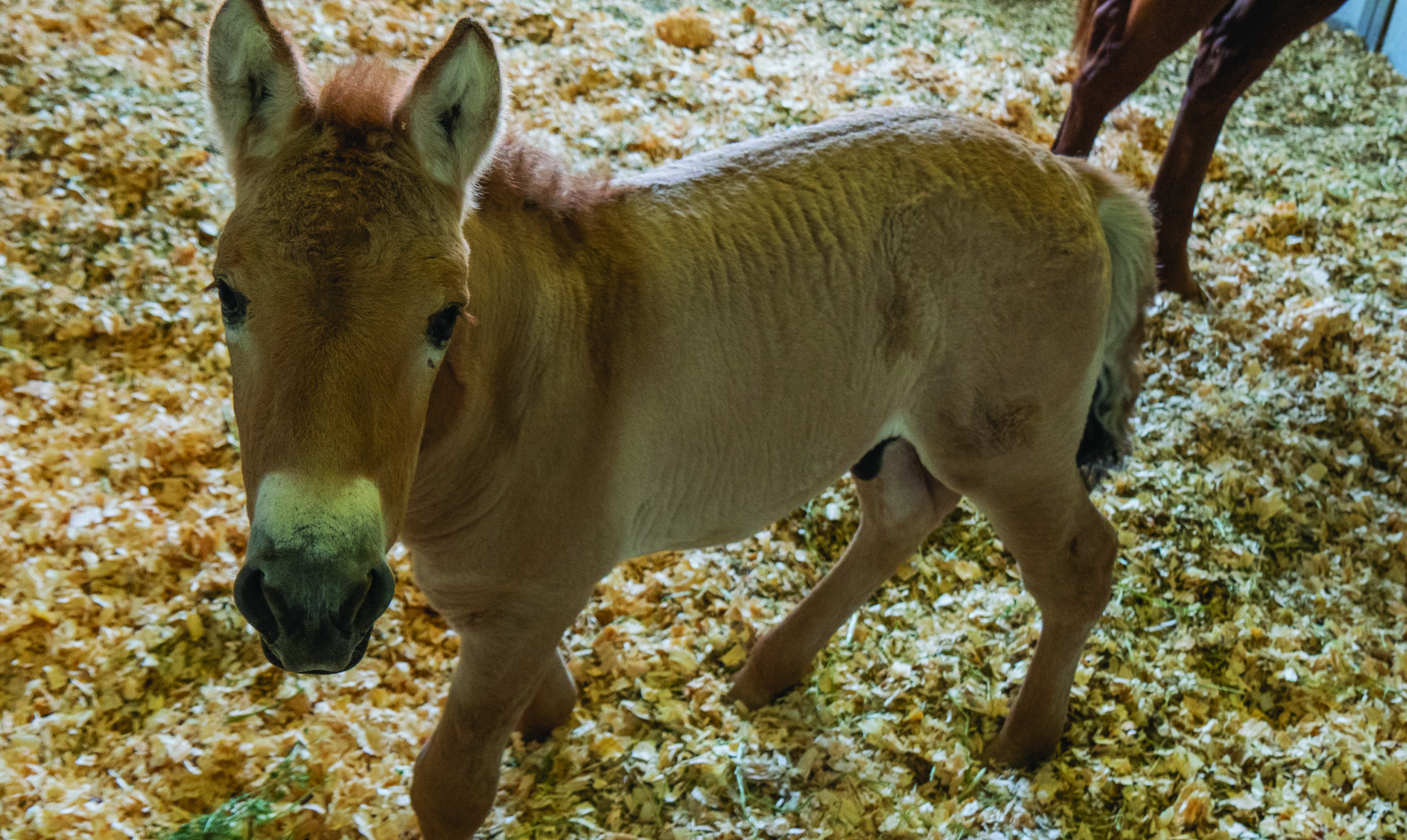 Photo courtesy of Scott Stine Photography