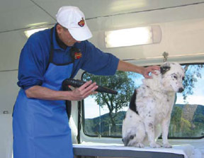 mobile groomer