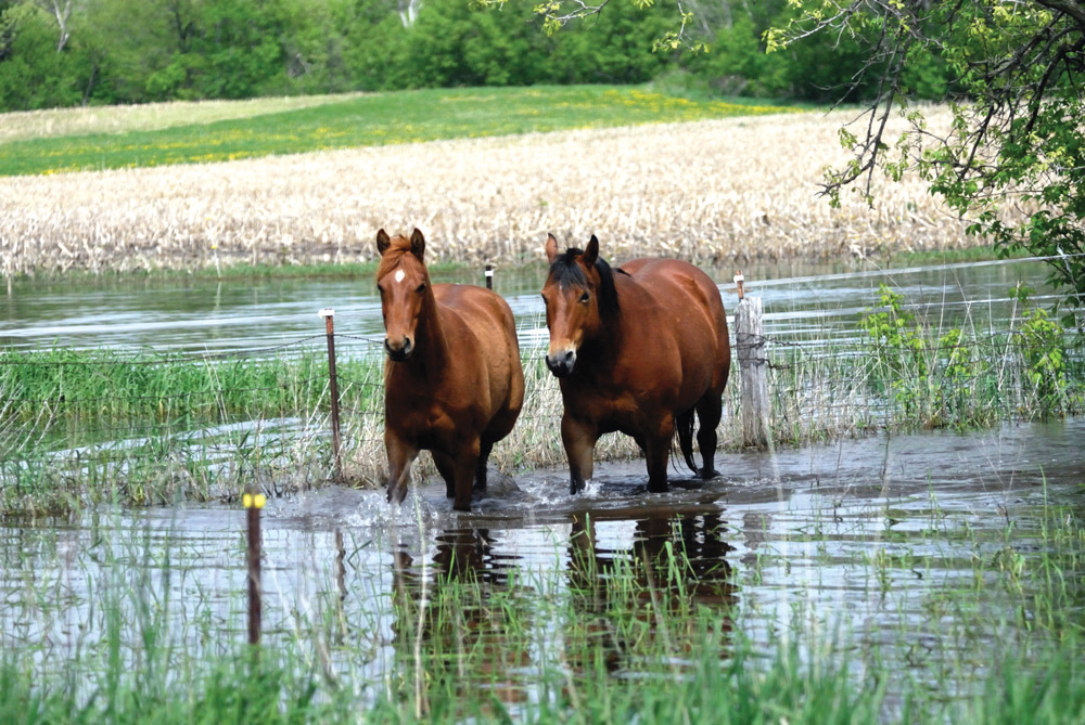 protect your water source