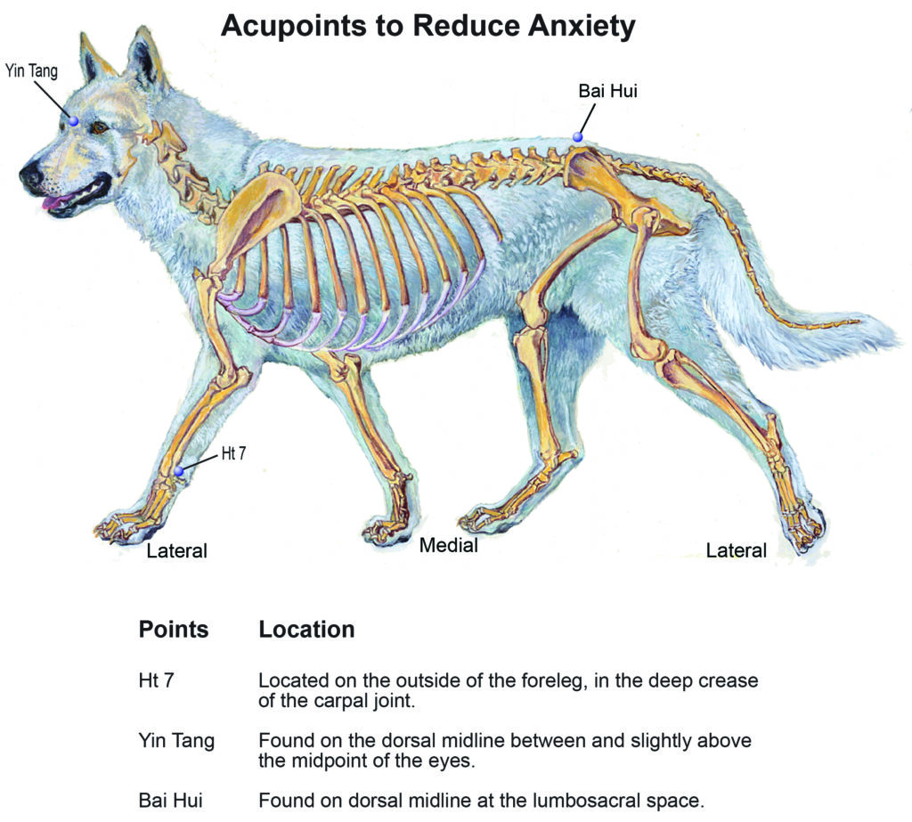 stress busting acupressure