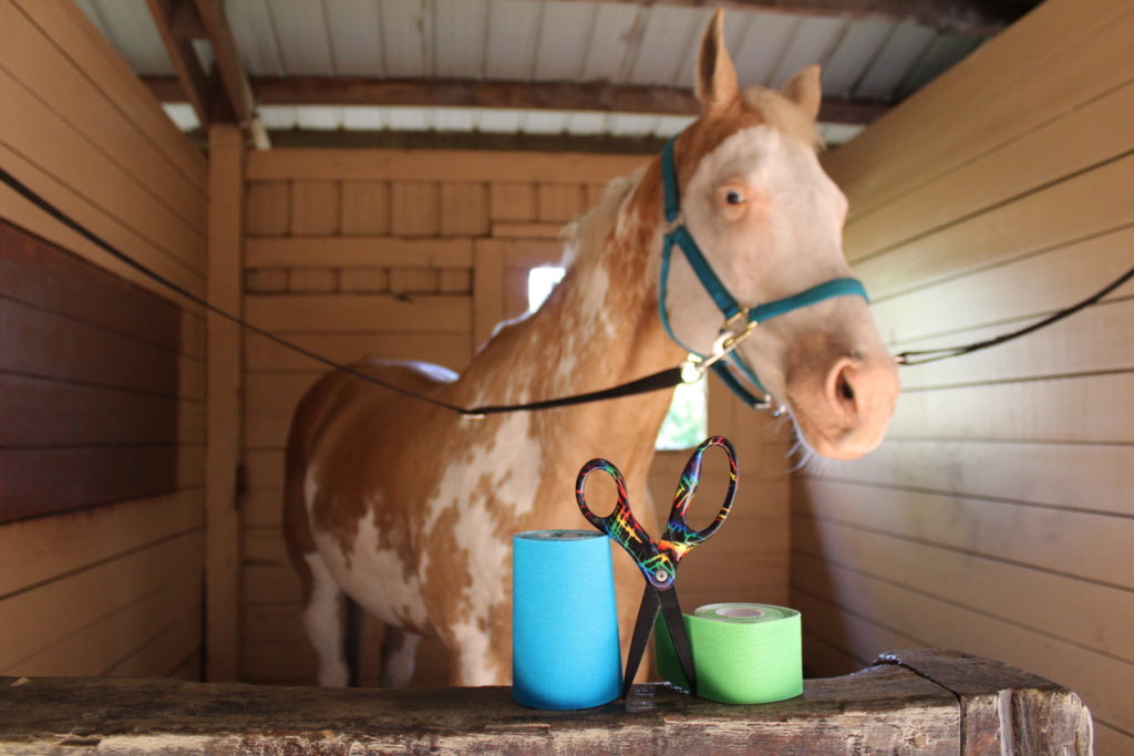 A simple taping technique to decrease your horse’s back pain