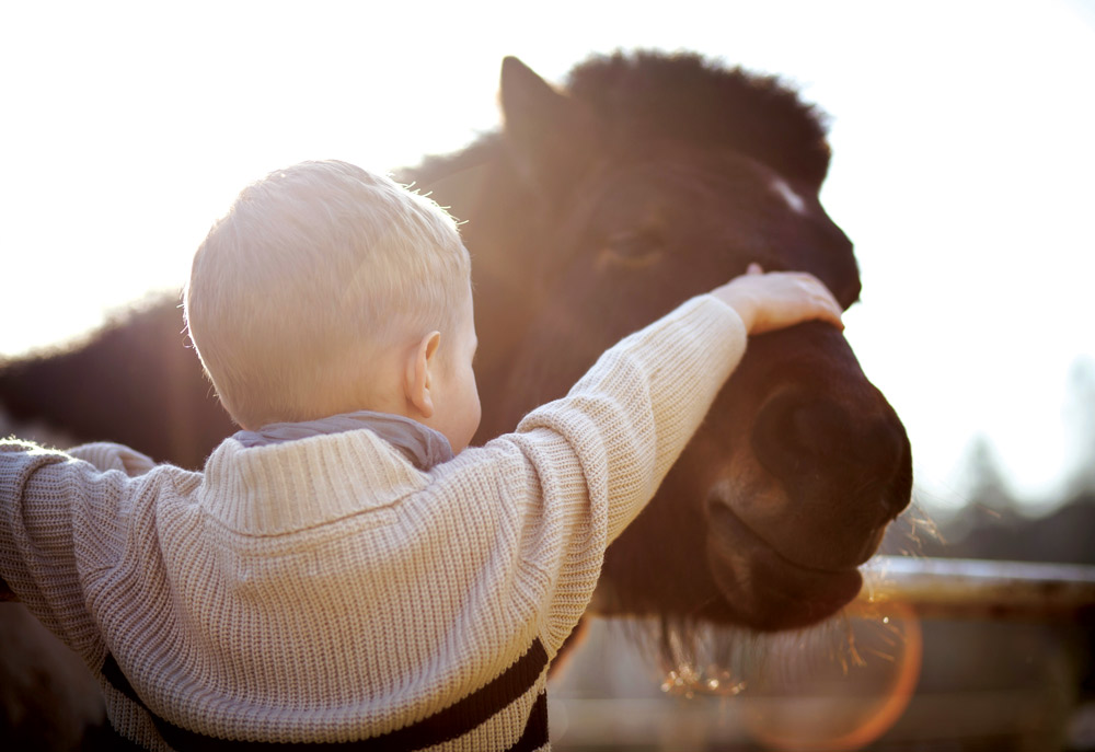 blind woman guide pony