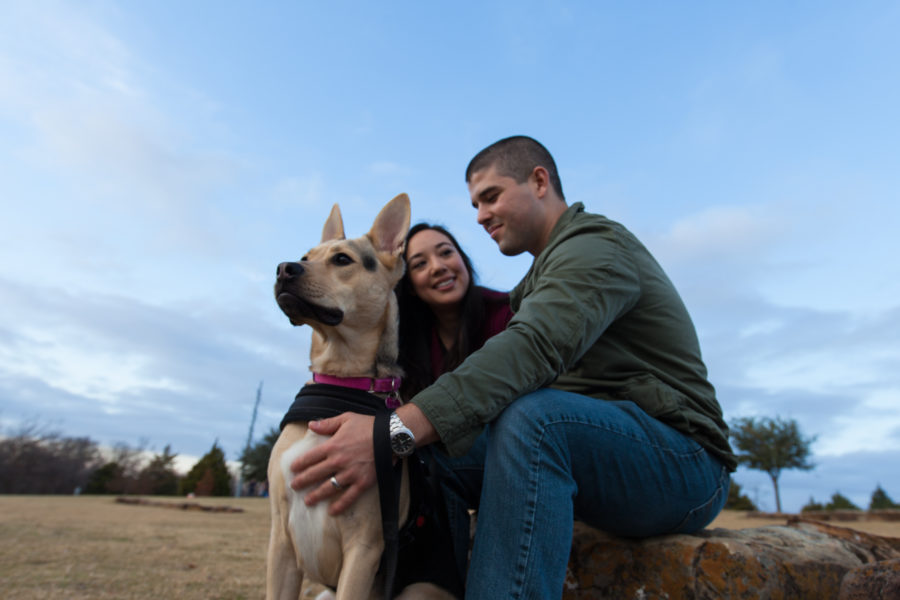 Who rescued whom? Five stories of adopted pets that changed lives