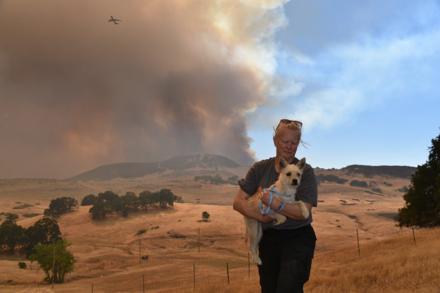 ASPCA helps animals affected by California wildfires