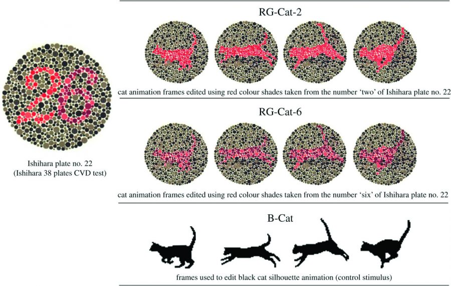 color blindness in animals