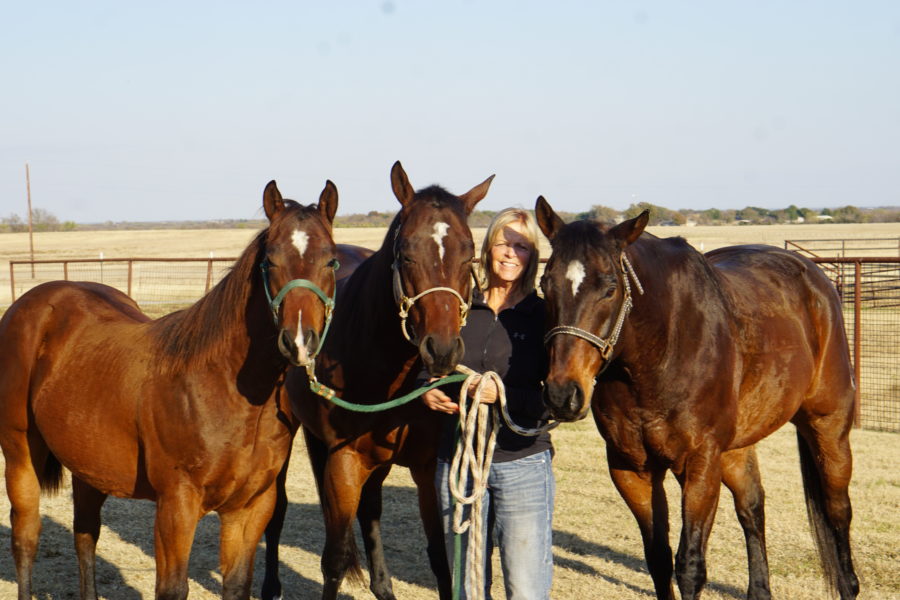 One tragedy, two cloned horses and $1 million dollars in earnings