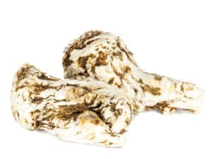 Dang gui angelica sinensis root