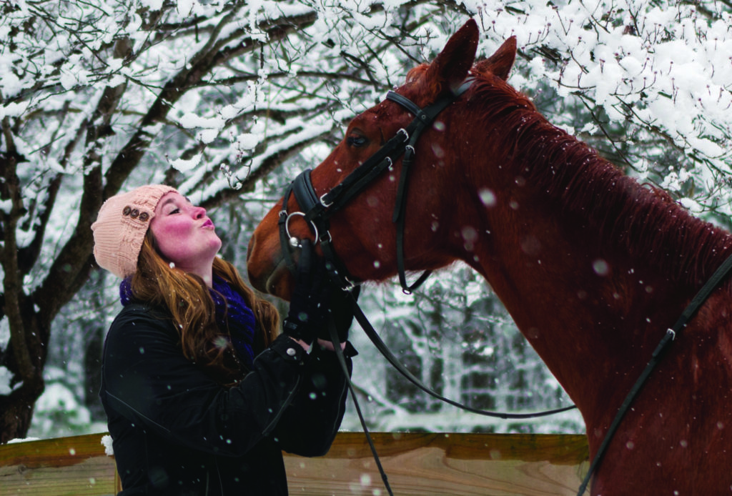 Keep your horse warm this winter