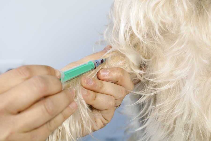 The role of immunotherapy in veterinary practice