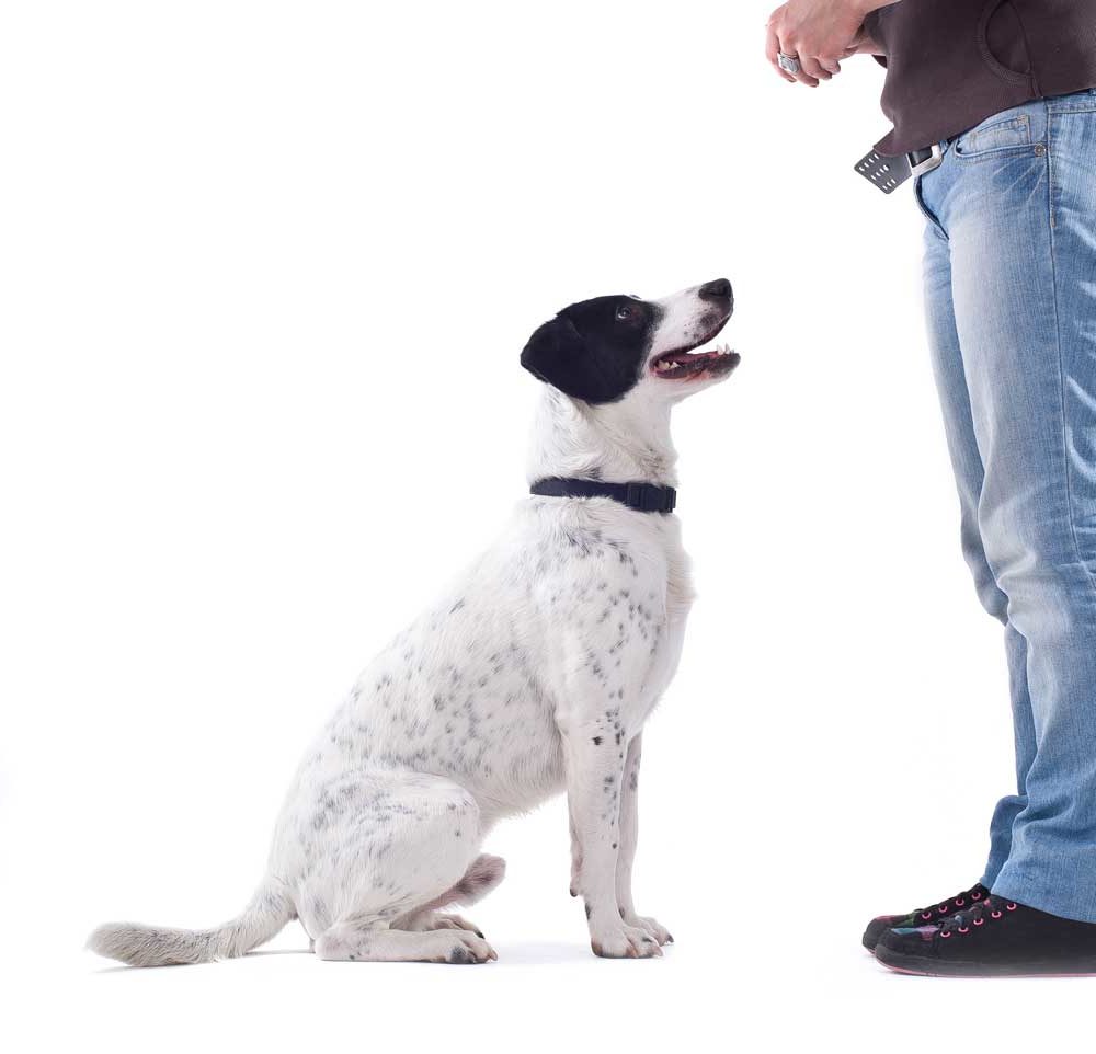 Teaching good behavior.