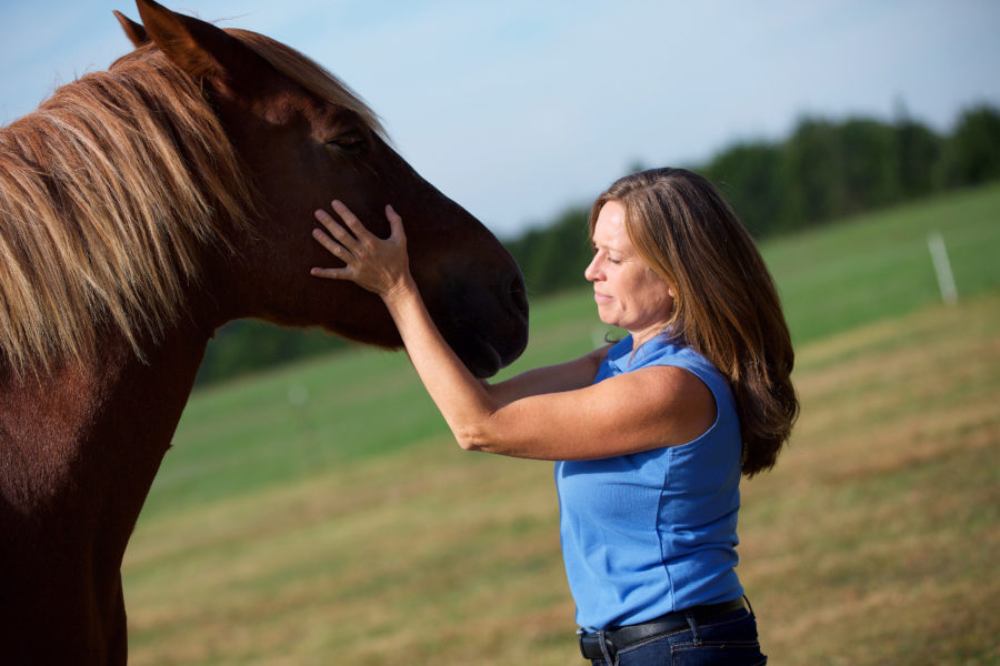 Understanding myofascial release for horses