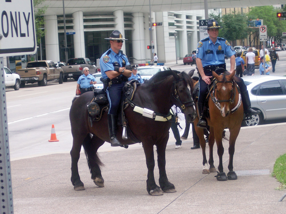 barefoot police horse