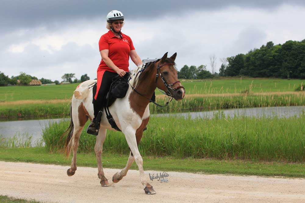 Endurance riding