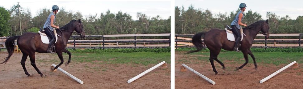 ground poles