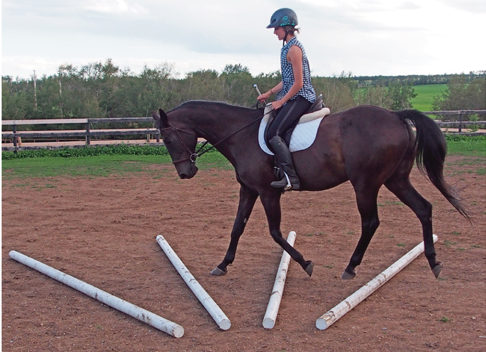 ground poles