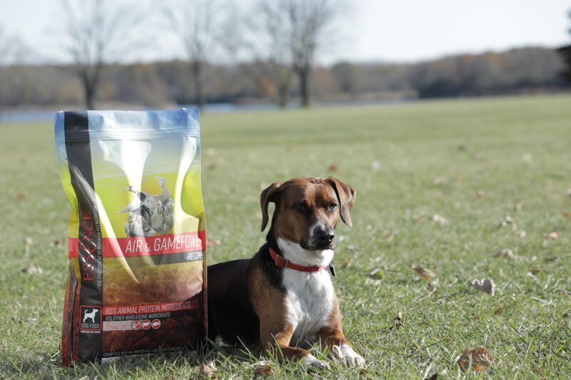 Nutritional review and analysis of Essence Pet Foods