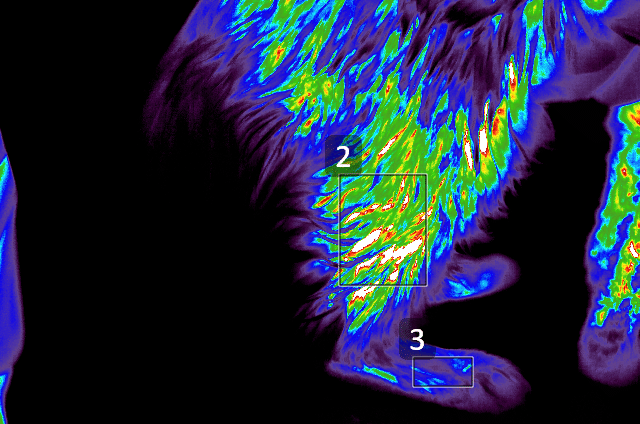 Digital infrared thermal imaging