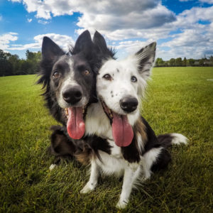 DCIM101GOPROGOPR2704.