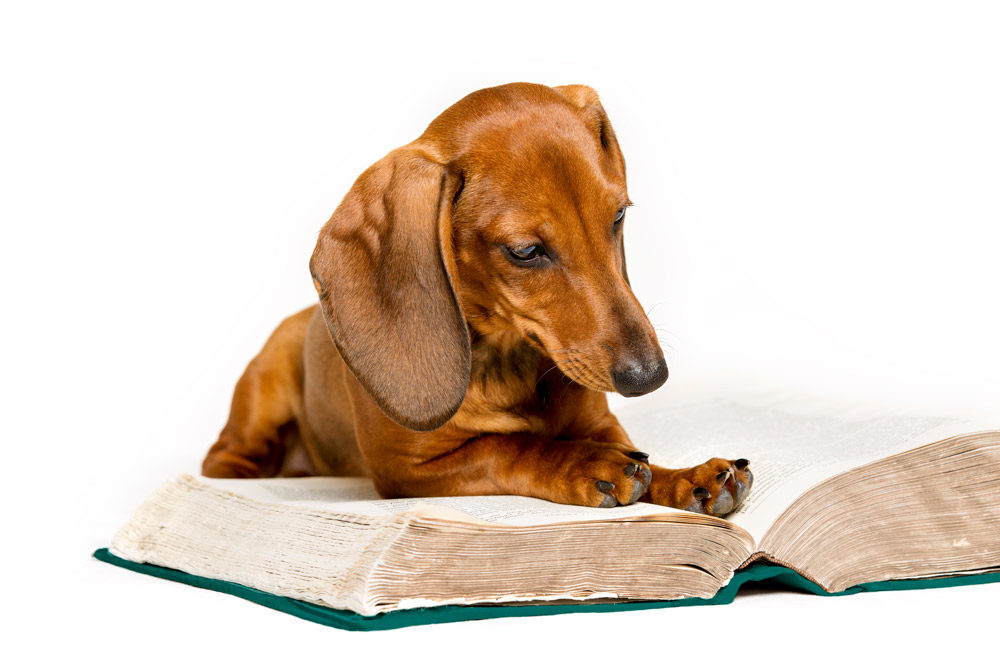 build a bond with words