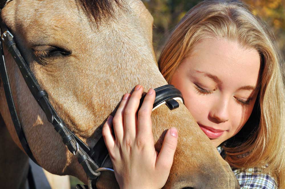 The energy field between you and your horse