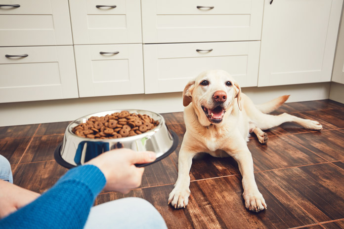 Is your pet food company truly transparent?