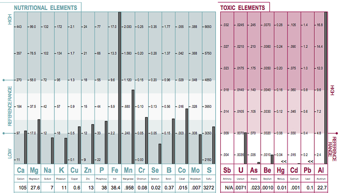 mineral analysis