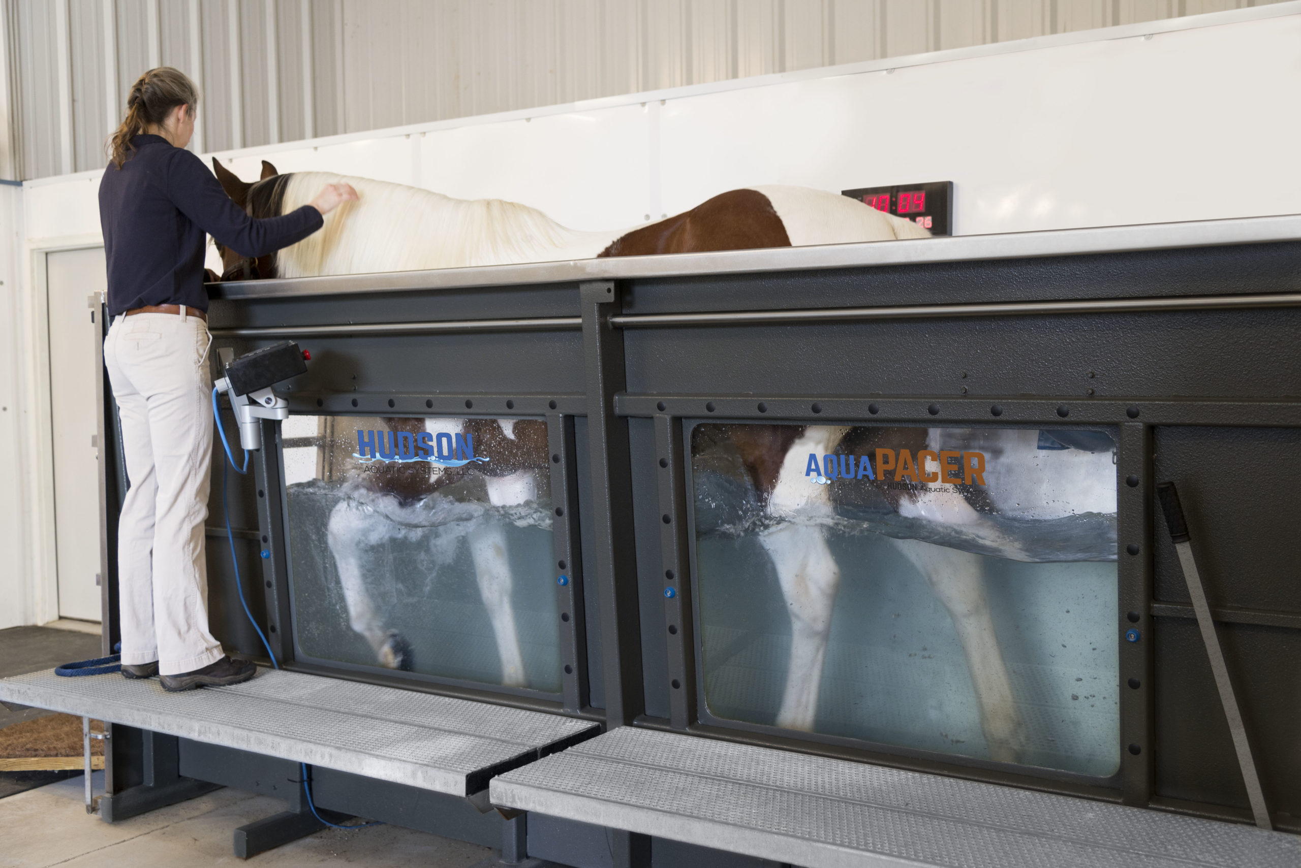 Treadmill exercise and your horse