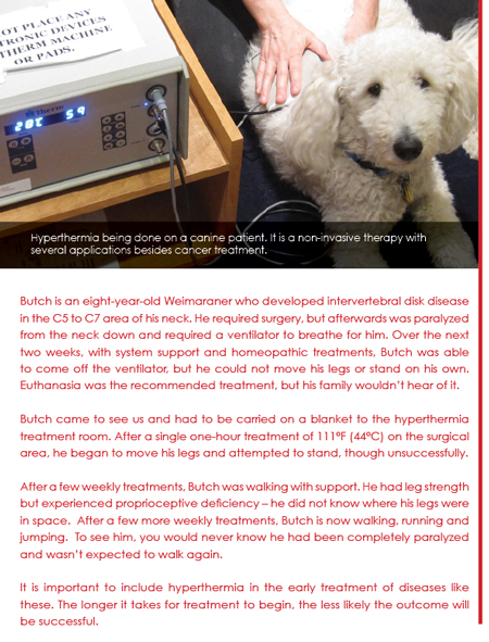 hyperthermic therapy sidebar
