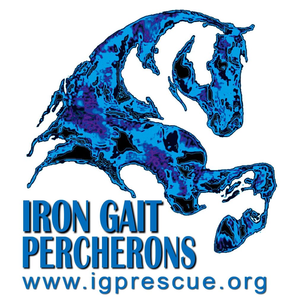 iron gait percherons