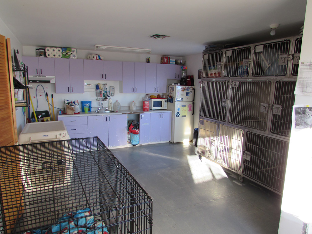 Iqaluit Humane Society