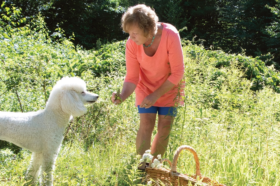 Herbs for Life, Inc. supports animal health with unique botanical medicinals