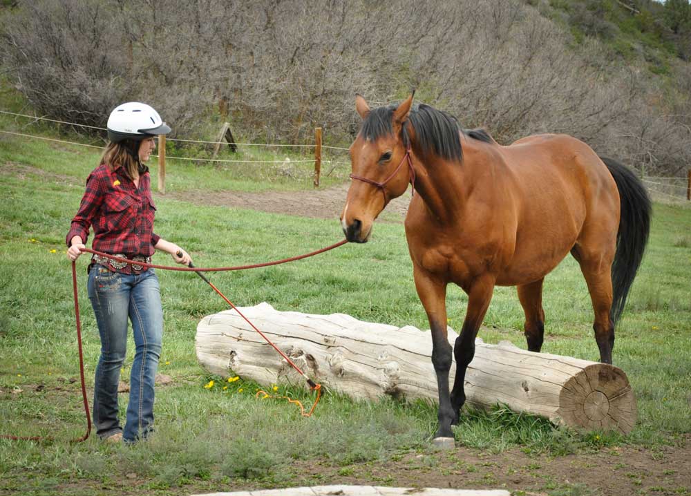 kids and horses