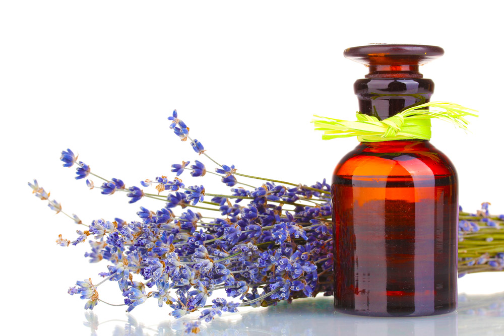 Essential oils and equine pain relief