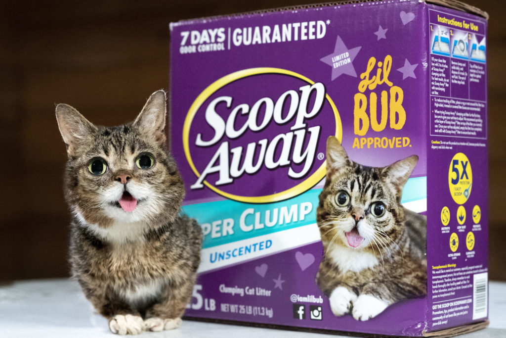 Lil Bub partners with Scoop Away® to support special needs pets