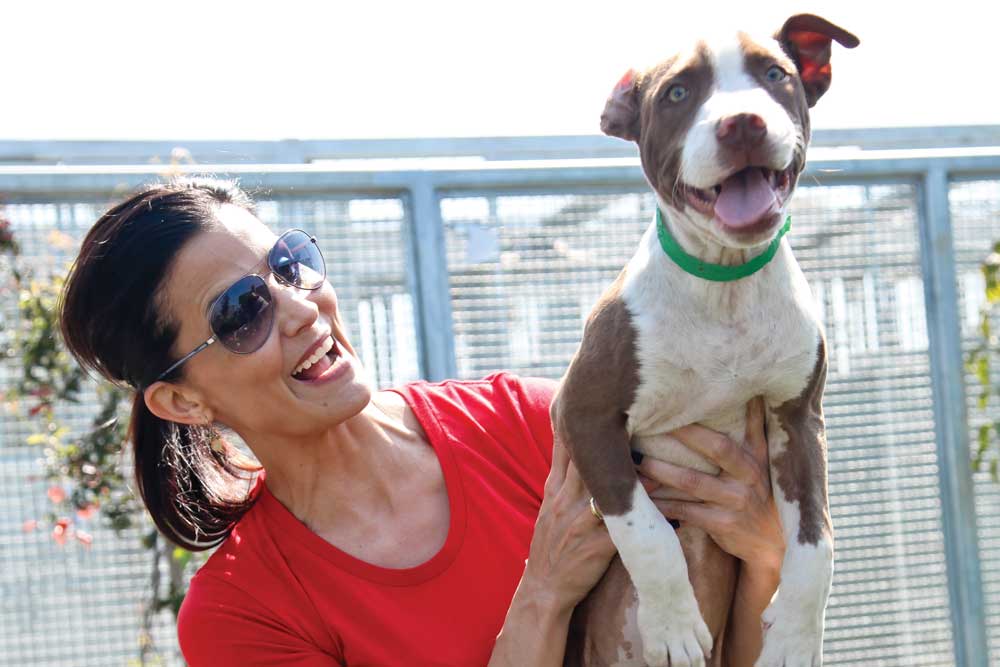 Lu PArker with a dog at an animal shelter.