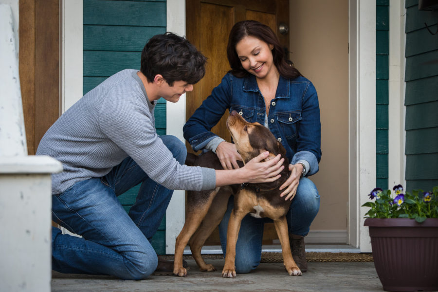 New dog film honors bond between dogs and veterans