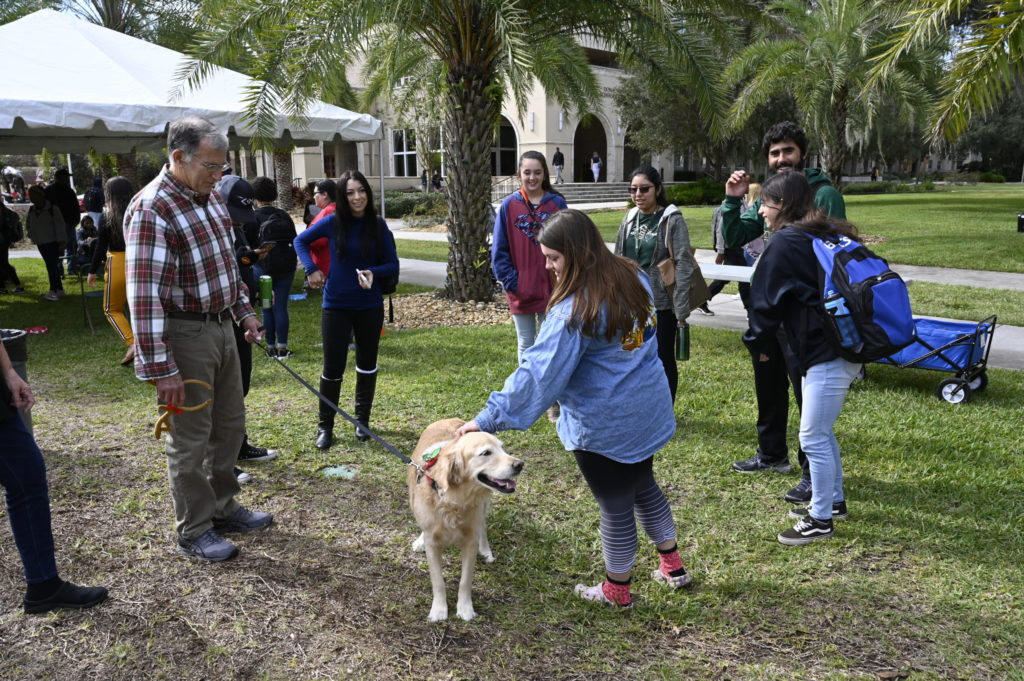 University helps combat exam stress with therapy dogs