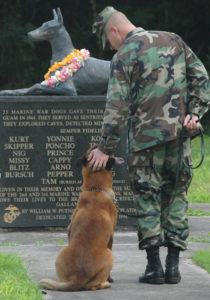 Soldier and dog memorial day
