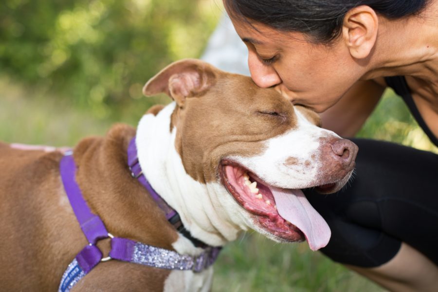 Mutual Rescue is all about the human-animal bond